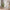 nom_du_produit - nom_boutique