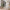 nom_du_produit - nom_boutique