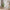 nom_du_produit - nom_boutique