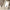 nom_du_produit - nom_boutique