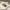 nom_du_produit - nom_boutique