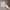 nom_du_produit - nom_boutique
