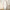 nom_du_produit - nom_boutique