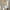 nom_du_produit - nom_boutique