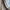 nom_du_produit - nom_boutique