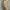 nom_du_produit - nom_boutique