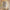 nom_du_produit - nom_boutique