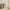 nom_du_produit - nom_boutique