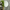 nom_du_produit - nom_boutique