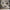nom_du_produit - nom_boutique