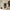 nom_du_produit - nom_boutique