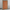 nom_du_produit - nom_boutique