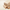 nom_du_produit - nom_boutique