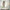 nom_du_produit - nom_boutique