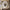nom_du_produit - nom_boutique