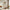 nom_du_produit - nom_boutique
