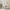 nom_du_produit - nom_boutique