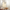 nom_du_produit - nom_boutique