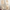 nom_du_produit - nom_boutique