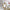 nom_du_produit - nom_boutique